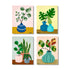 PLANT #2599